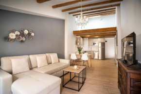 Apartamentos Terraza Ega